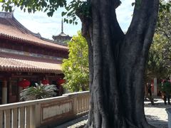 -泉州酒店-温陵中餐厅(庄府巷店)