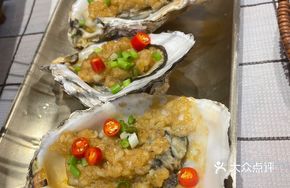 Super Large Oyster