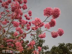 -飞翔公园(地铁站)