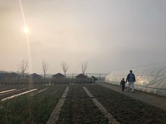 -上海崇明金茂凯悦酒店