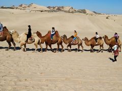 游乐设施-玉龙沙湖景区