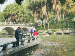 -柳侯公园