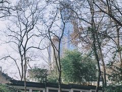 -北极阁公园