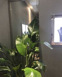 -Wink美甲美睫