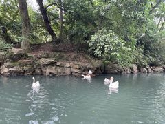 -兰亭风景区