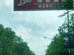 -上海长兴岛郊野公园