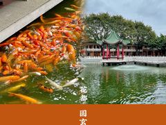 -广东圆玄道观