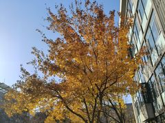 -中央戏剧学院(昌平校区)