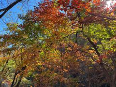 -玉渡山自然风景区