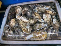 -渔中舟海鲜大排档(普陀沈家门店)
