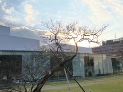 -金泽21世纪美术馆