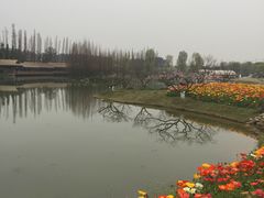 -秀丽东方