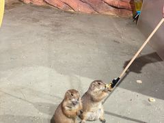-正佳雨林生态植物园