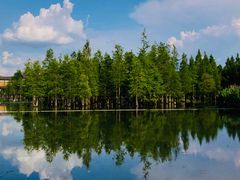 -白鹭湾湿地公园