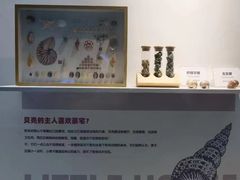 -重庆欢乐海底世界