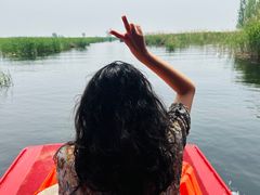 -白洋淀景区