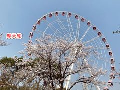 -自然谷恐龙园