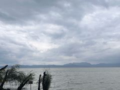 -捞渔河湿地公园
