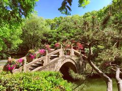 -上海醉白池公园