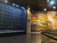 -北京周口店北京人遗址博物馆