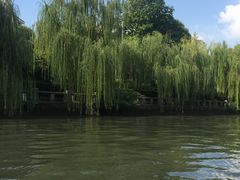 -运河游船(武林门码头)