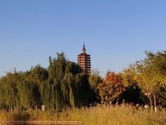 -西海子公园