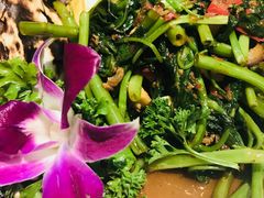 虾酱空心菜-小娘惹厨房Little Nyonya(狮城有约上榜店)
