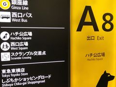 -涩谷区