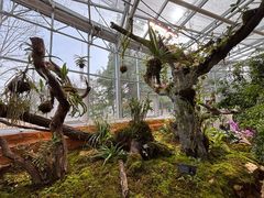 -国家植物园南园