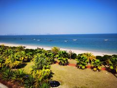 -巨鹏飞梦幻海岸