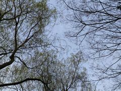 -瀛洲公园