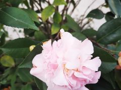 -灵隐飞来峰景区