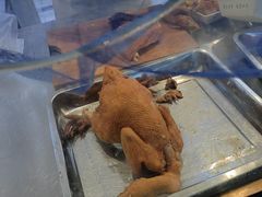 -阿二烤鸡(山塘街店)