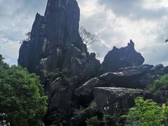-玉石林风景区
