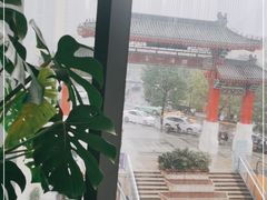 -喜粤8号(四海唐人街店)