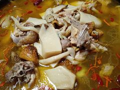 菌汤鸡煲-猪圈咖啡