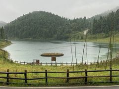 -武陵山森林公园