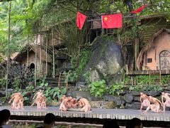 -海南槟榔谷黎苗文化旅游区