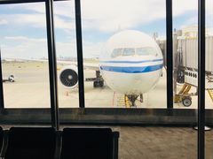 -纽瓦克自由国际机场