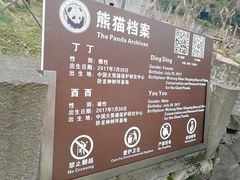 -都江堰中华大熊猫苑