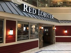 -RED LOBSTER(多伦多DT店)