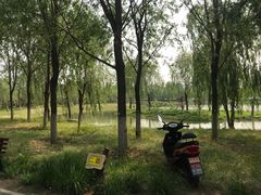 -东郊湿地公园