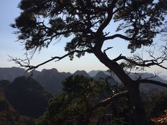 -大连天门山国家森林公园