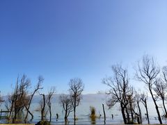 -大理洱海