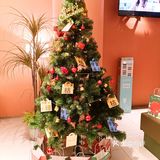 谁不想在寒冬牵起一双温暖的手，喝上一杯暖暖的奶茶呢？