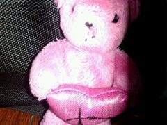 android_upload_pic-济州岛泰迪熊博物馆