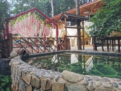 -云涛森林温泉