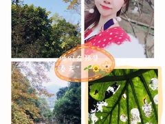 -广州市石门国家森林公园