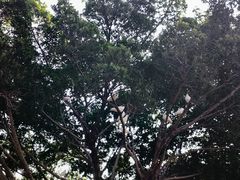 -顺峰山公园