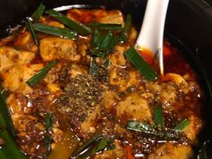 -陈麻婆豆腐总店